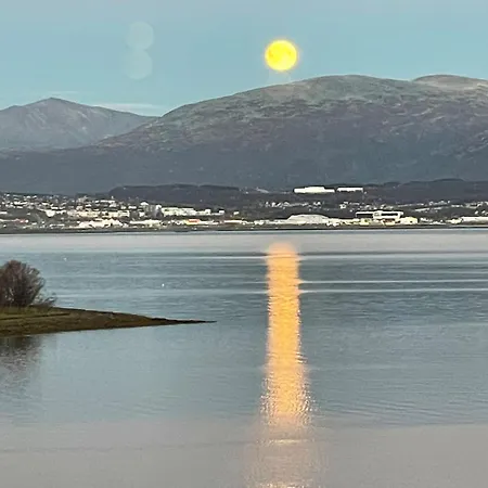 Pearl On The Whale Island *